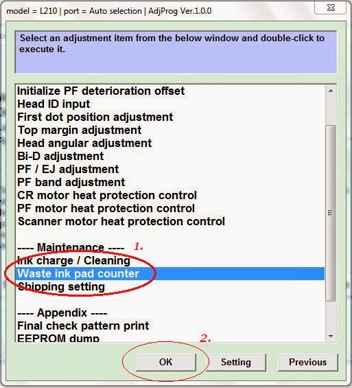 Epson Reset T13