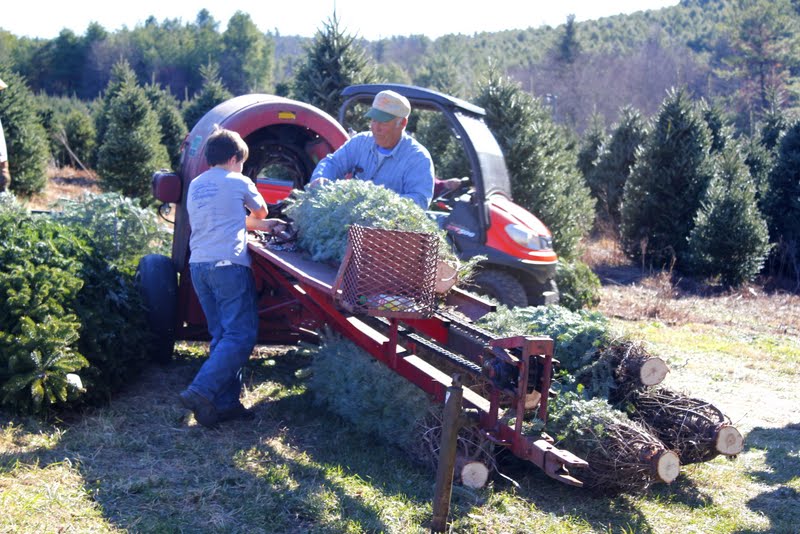 House at Forest Manor Picking Out the Christmas Tree