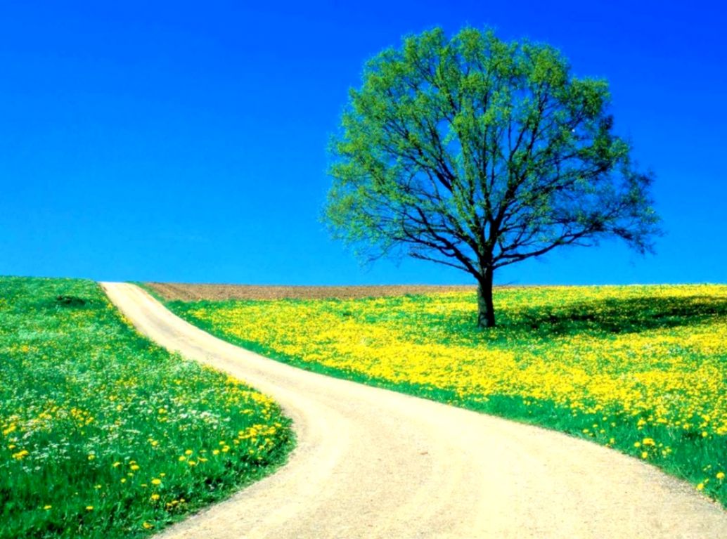 Nature Wallpapers Desktop Free Download Hd