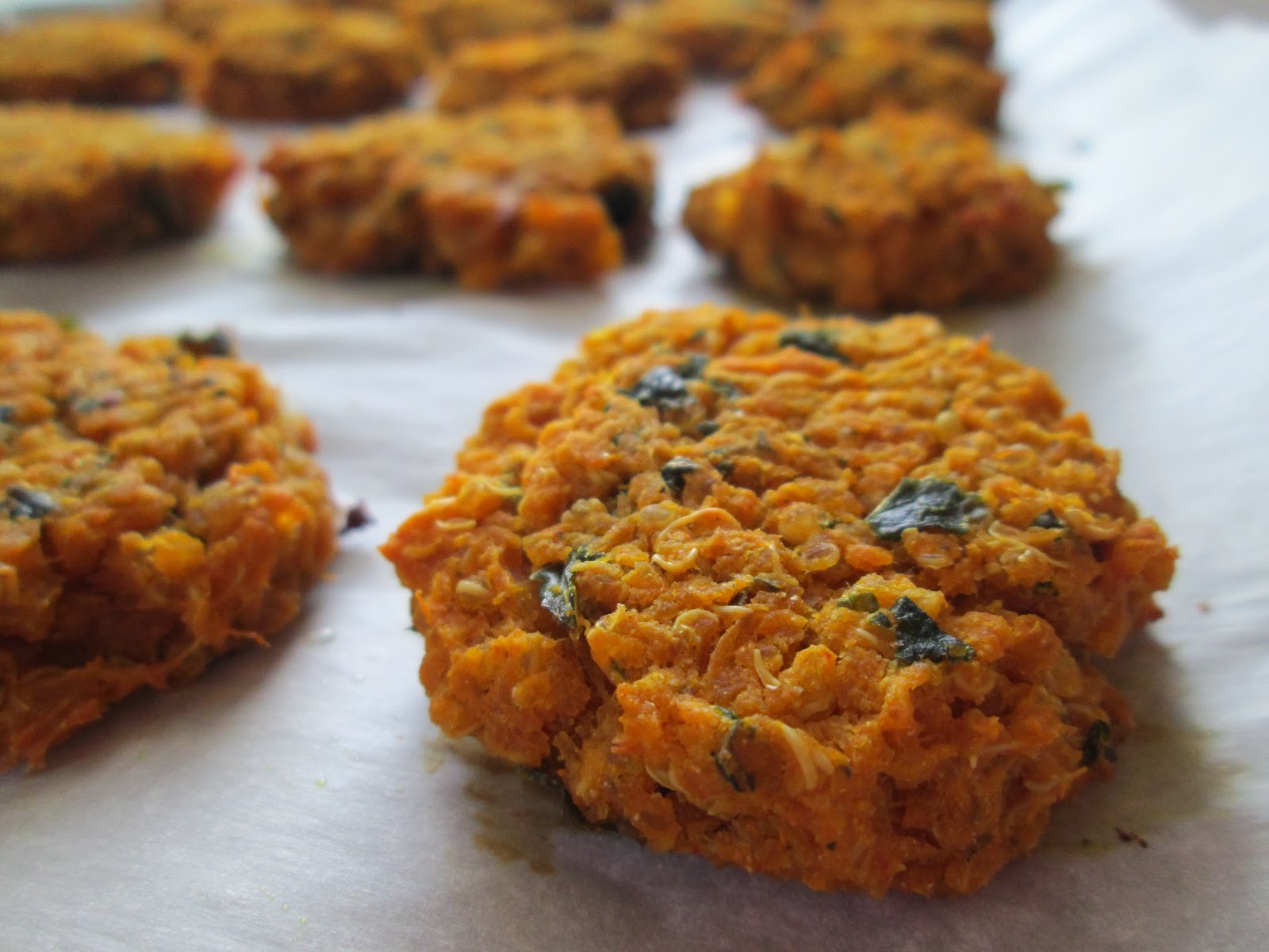 Hope For Healing Sweet Potato Quinoa Nuggets