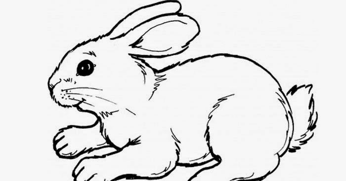 Cute bunny coloring page | Free Coloring Pages and Coloring Books for Kids