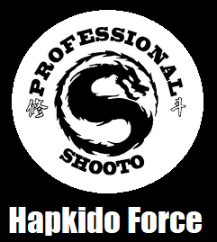 Hapkido Force