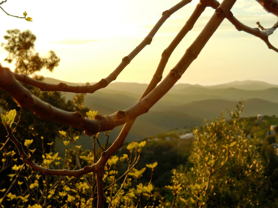 rencontres bd bastia