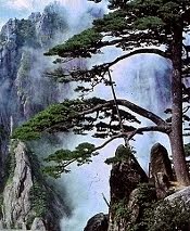 Huangshan 黄山