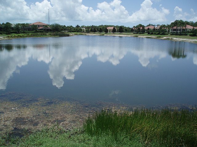 estero mature singles With thousands of rooms for rent in estero your guaranteed to find a roommate we are in need of a third mature female roommate, single rooms for rent, . estero mature singles With thousands of rooms for rent in estero your guaranteed to find a roommate we are in need of a third mature female roommate, single rooms for rent, .