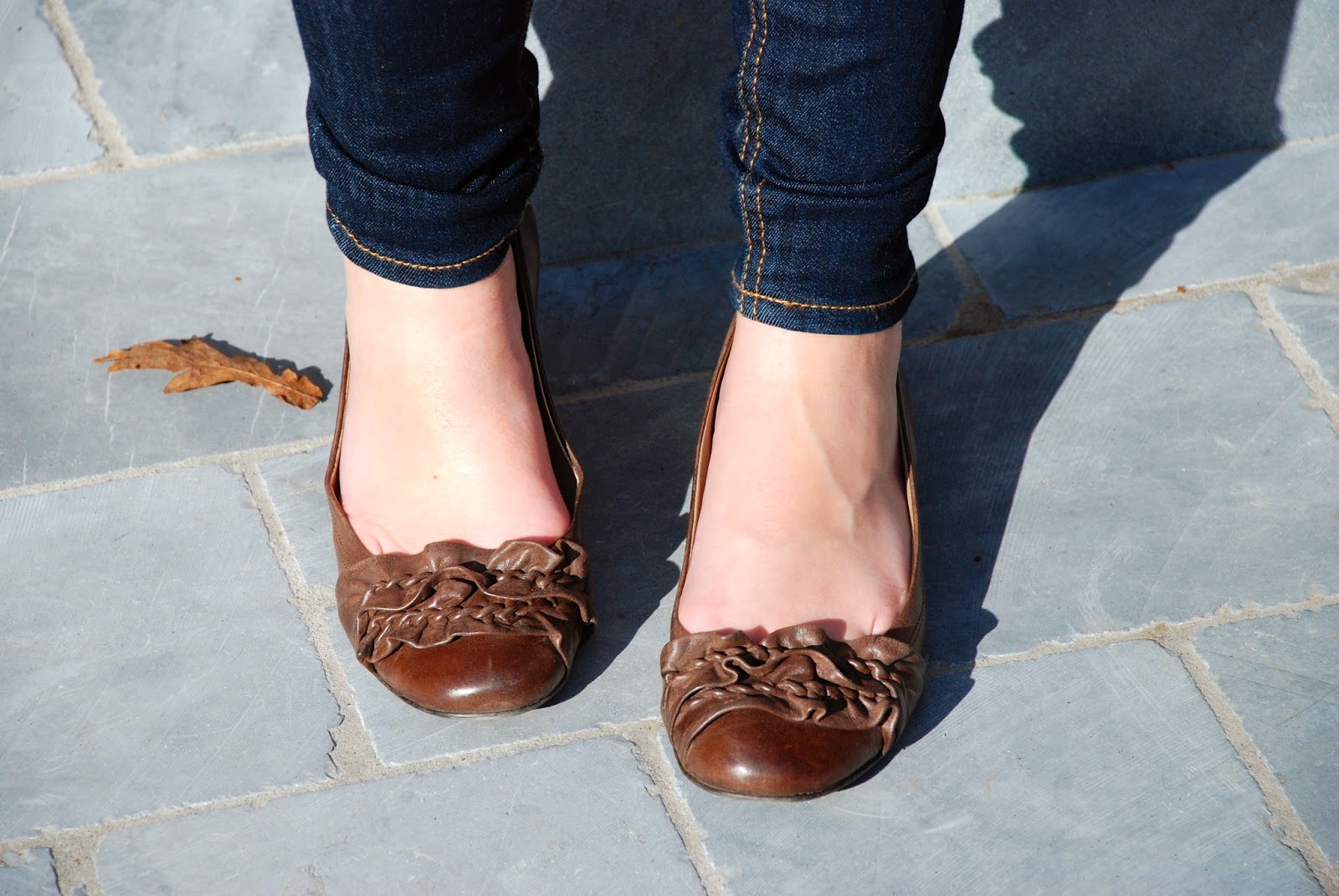 Polished Cats Outfit Stylish in Jeans