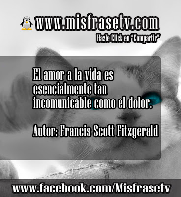 frases de desilucion frases de desilucion