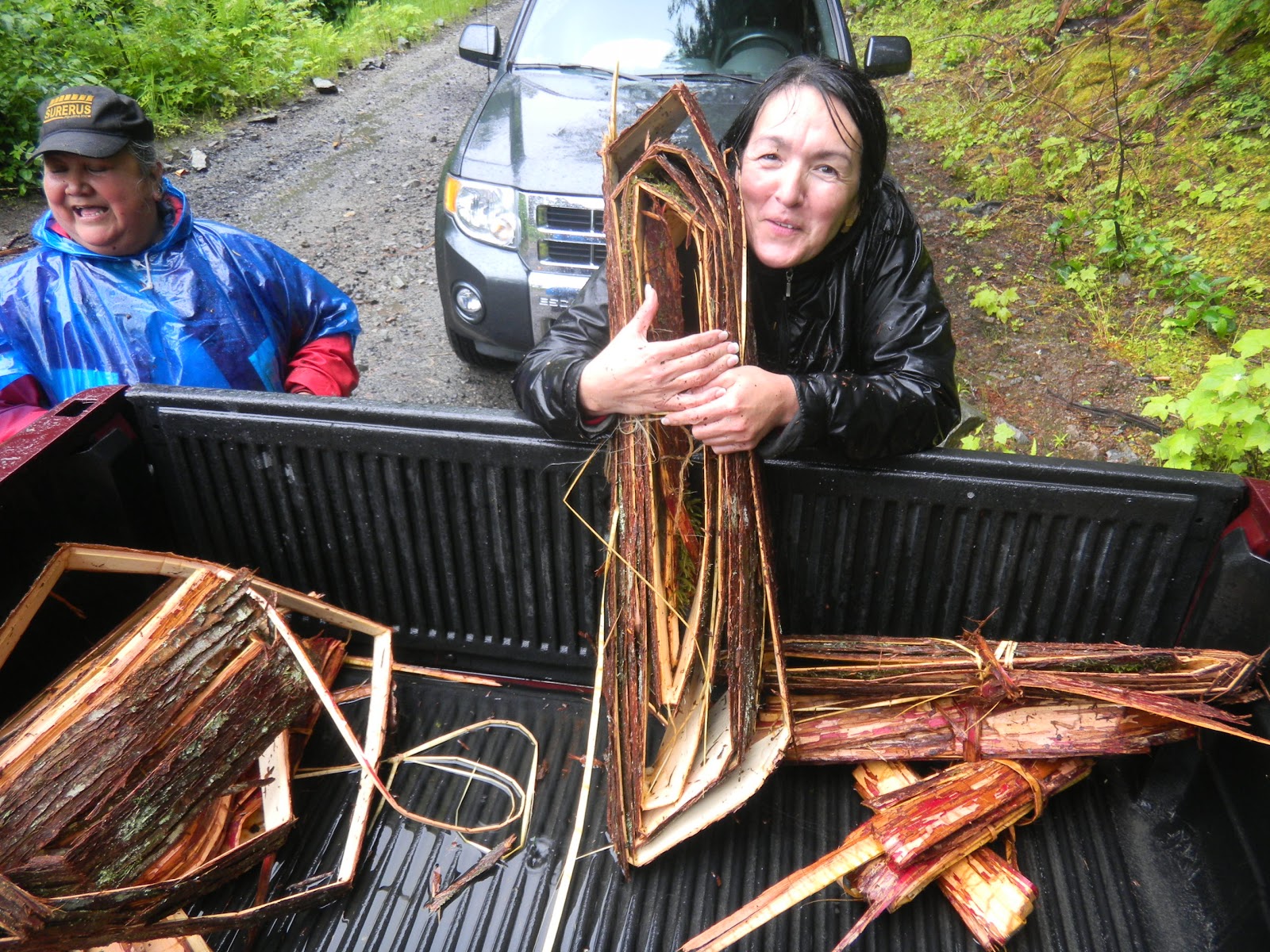 Giihlgiigaa Haida Weaver How to harvest Cedar Bark