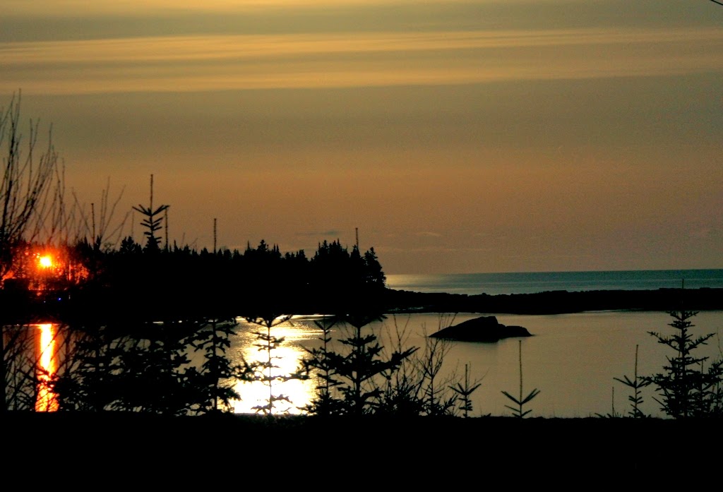 Live Feed to the Bay of Fundy.