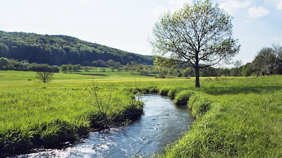 Clear Water Green Nature HD Wallpapers Green World Grass Water Flow Widescreen Photos