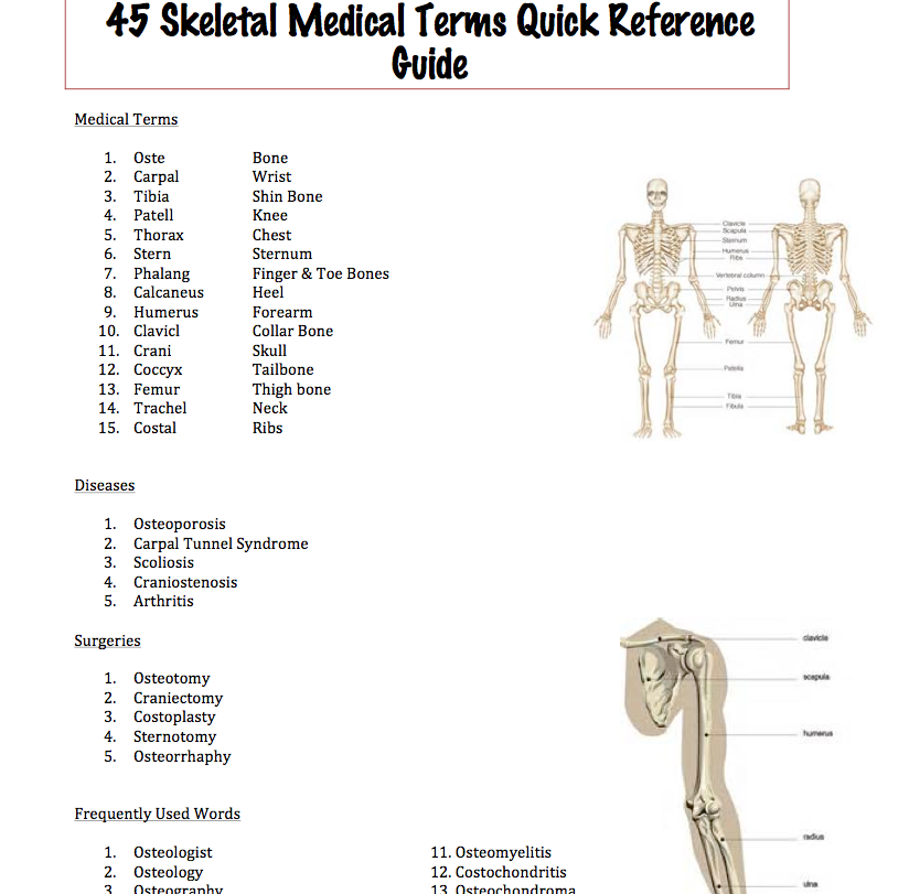 Easy Medical Terminology Skeletal Medical Terminology Word Reference Card