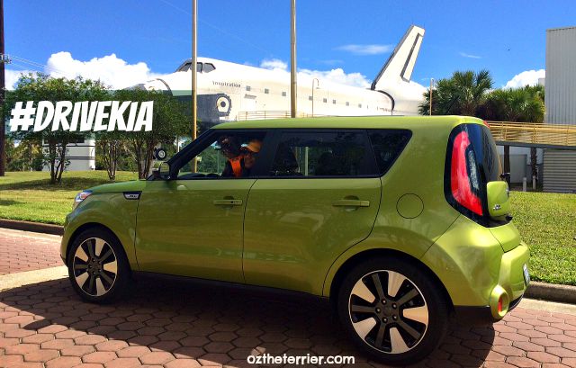 Oz the Terrier looks out of 2015 Kia Soul parked outside Astronaut Hall of Fame