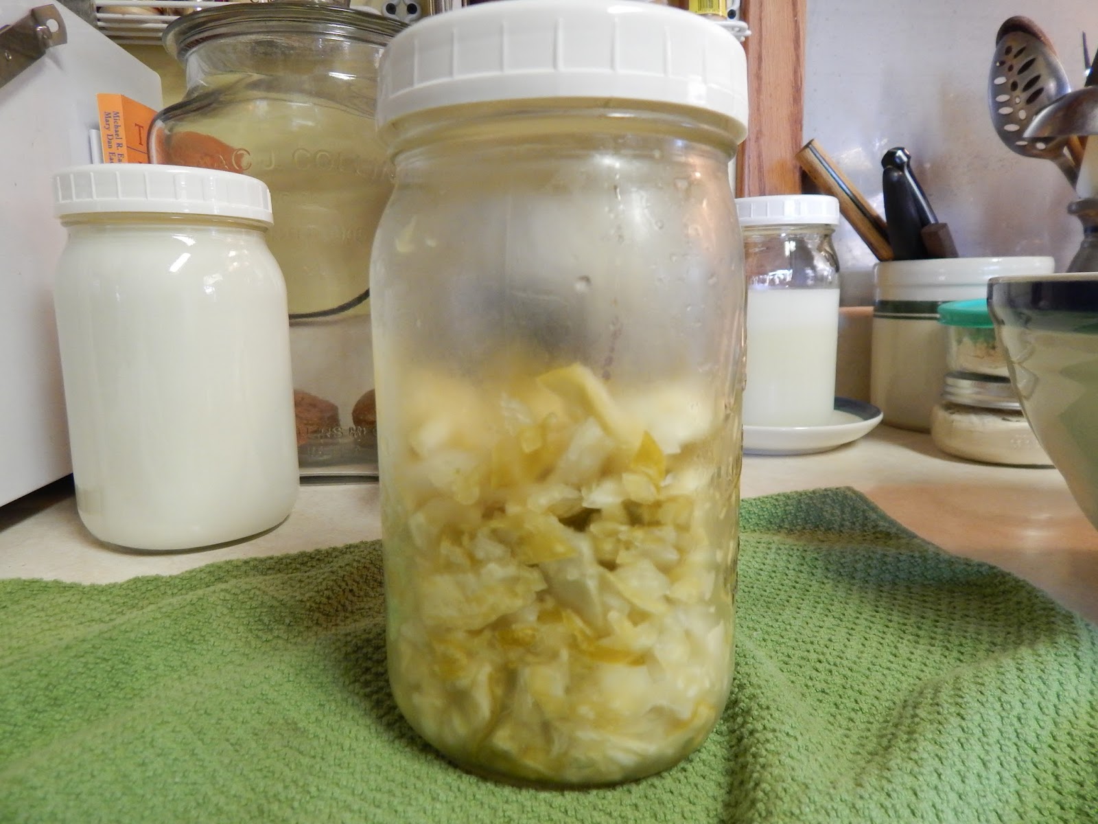 Thoughts from Frank and Fern Homemade Sauerkraut