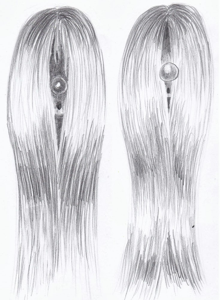 weekly doodles and tuts drawspace lesson h12 how to draw a long hair