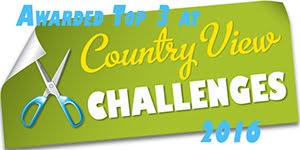 Country View Challenges