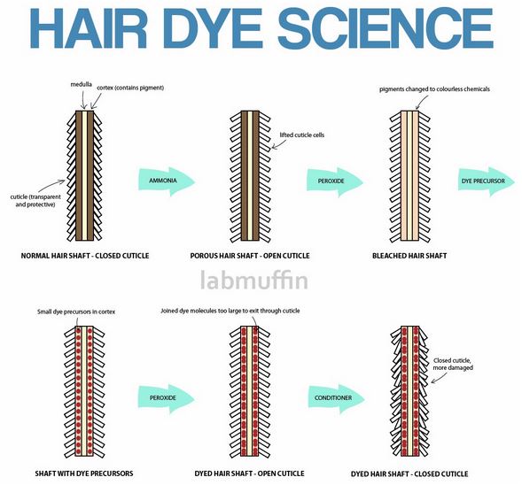 'AmmoniaFree' is Not 'DamageFree' Don't Let the Hype Around that