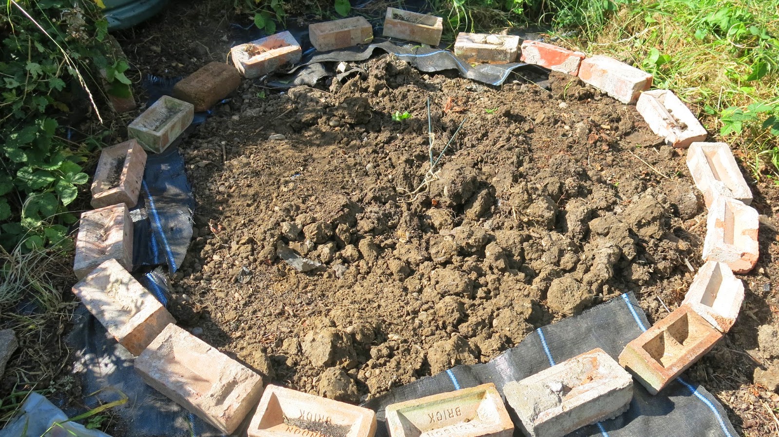 Gourmet Gardening Through the keyhole an African garden in London