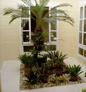 JARDIM DE INVERNO – COMO FAZER jardim de inverno pequeno 1 JARDIM DE INVERNO – COMO FAZER