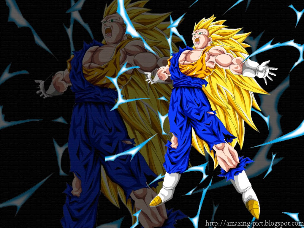 Vegetto Super Saiyan 3 Wallpaper Amazing Picture