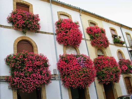 balcones floridos