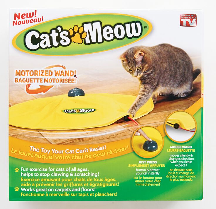 The Cats Meow Toy Review