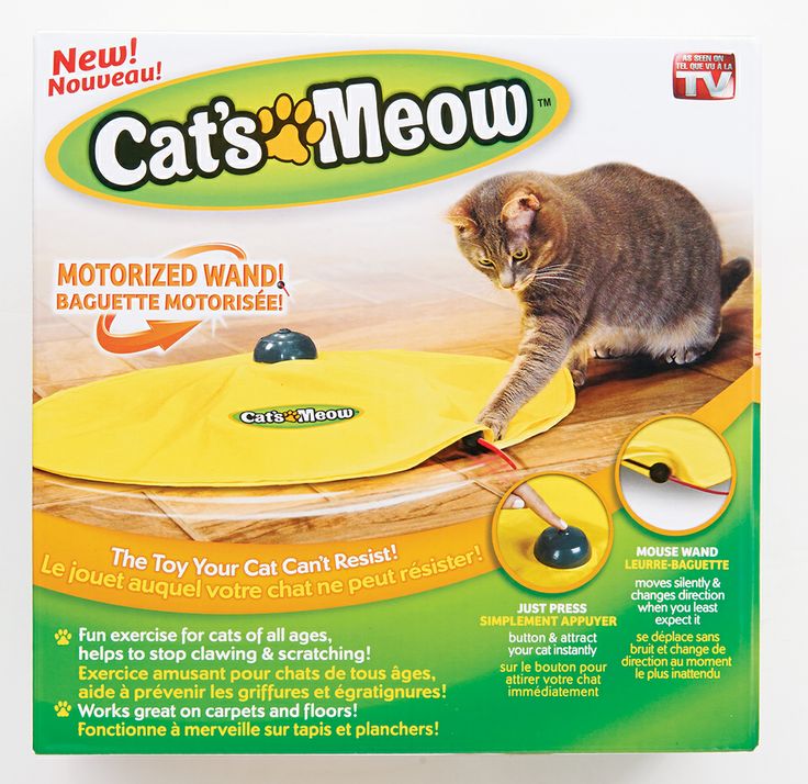 Cats Meow Toy