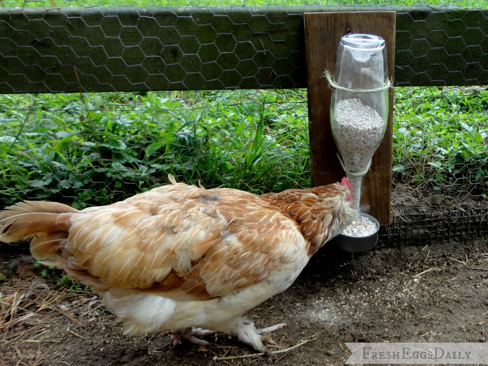 DIY Wine Bottle Chicken Grit & Oyster Shell Dispenser Tutorial Fresh