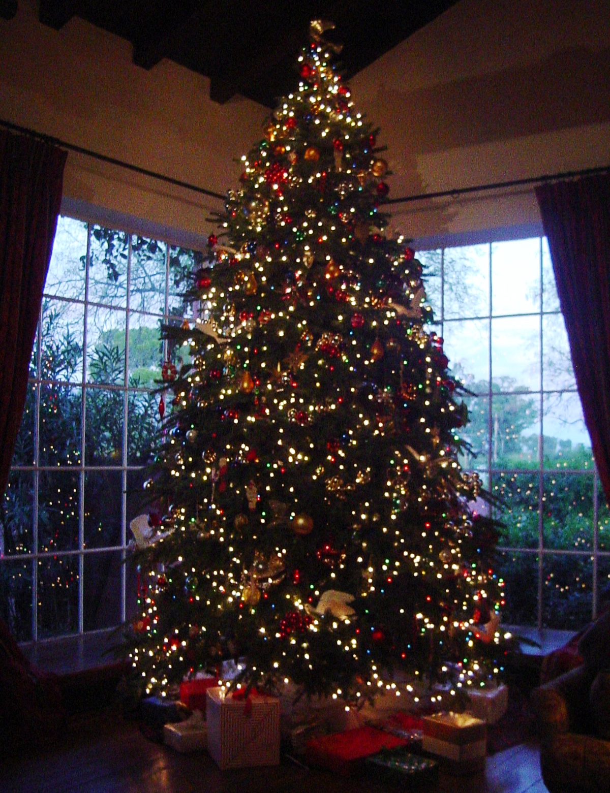 Tucson Daily Photo December 2012