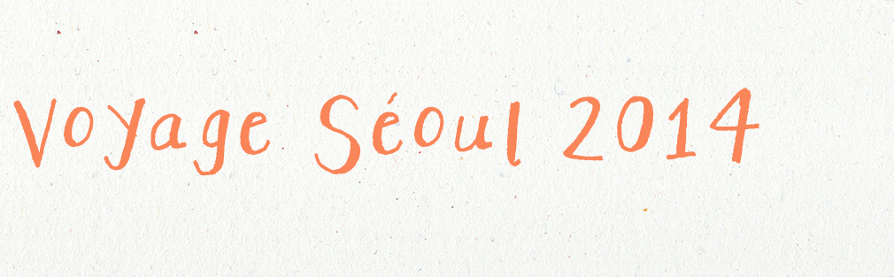 Voyage Séoul 2014