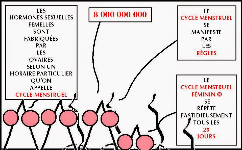 Il vous rencontrer ici meaning
