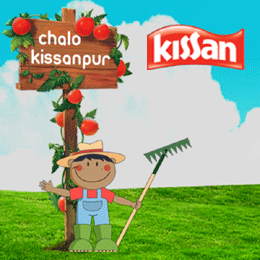 free kissan tomato seeds from kissanpur