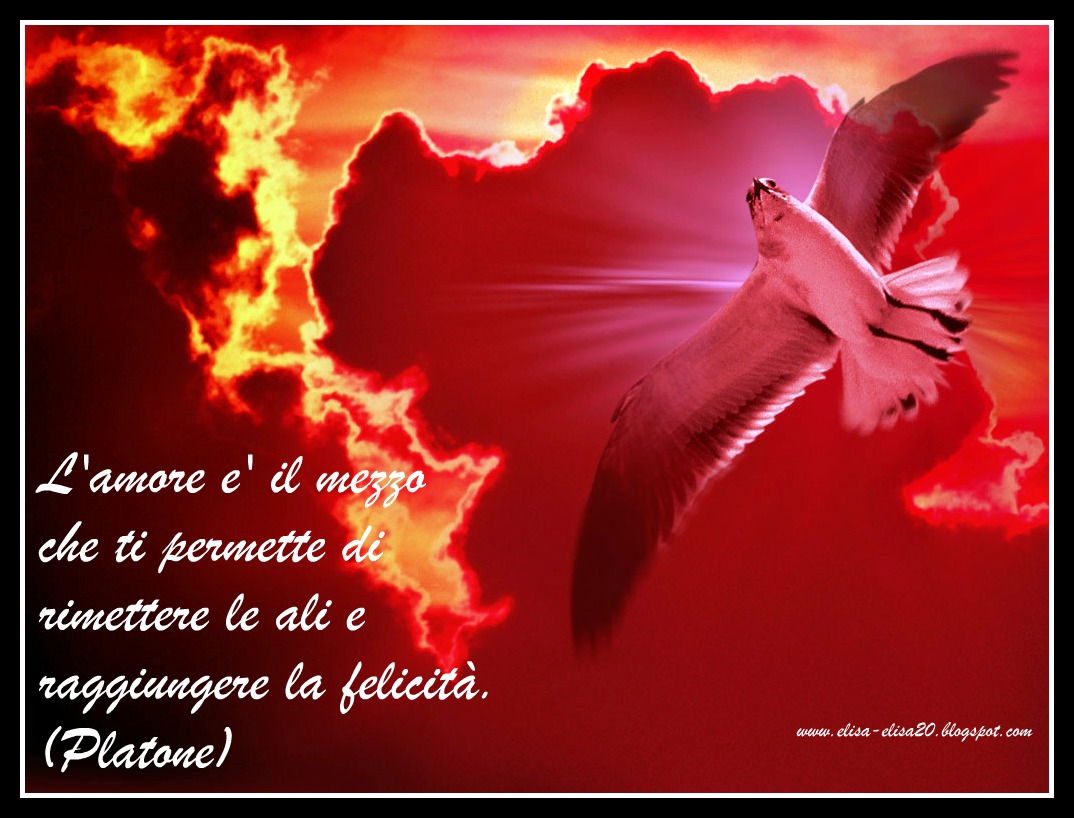 Aforismi Sulla Vita Platone