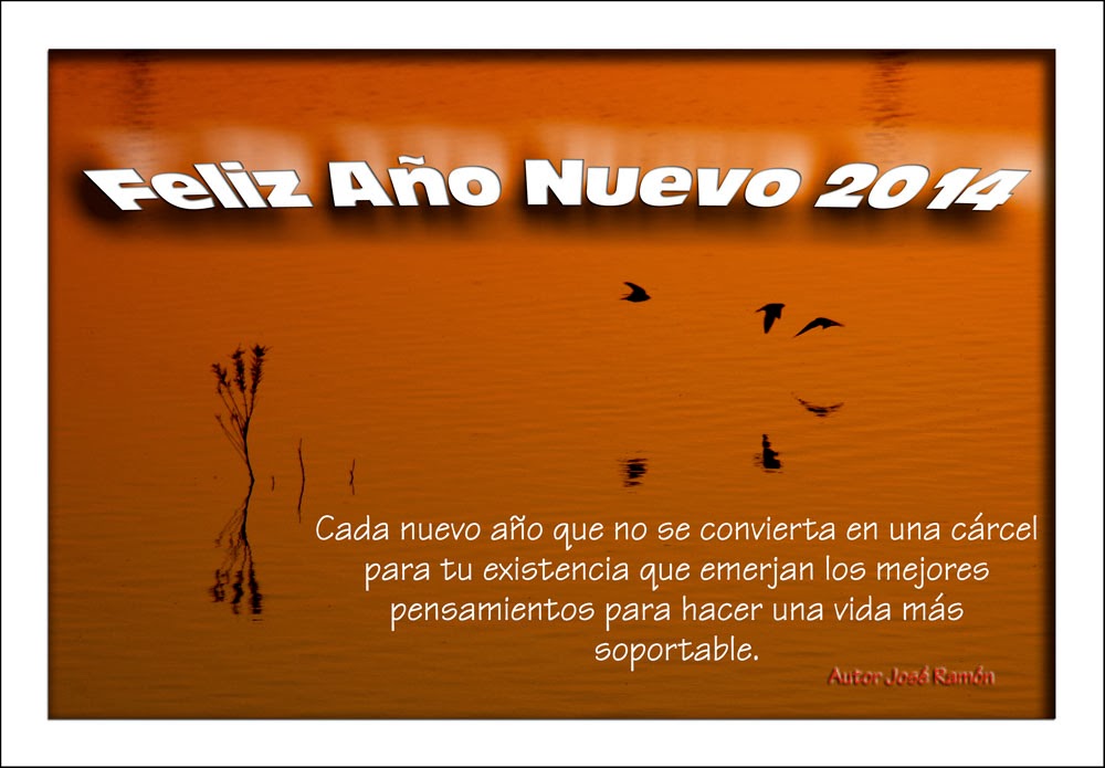 FELICITACIÓN 2014