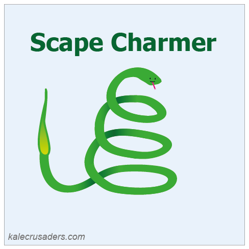 Garlic Scape Charmer, Snake Charmer, Scape Season