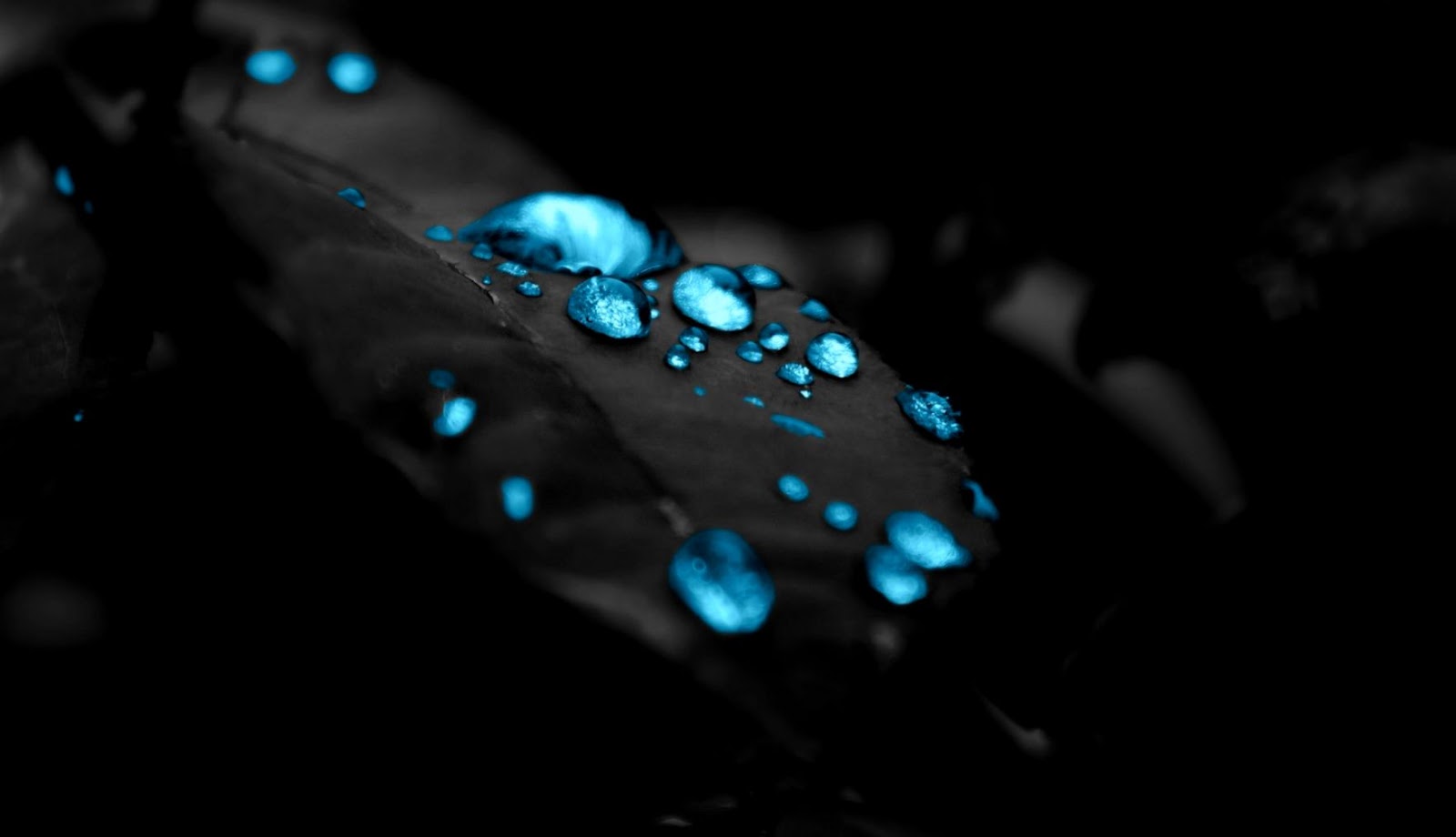 Best HD Phone Wallpaper Best HD Phone Wallpaper