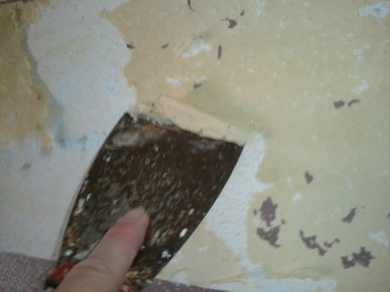 What is Shelly up to now? How to Remove a Wall Border