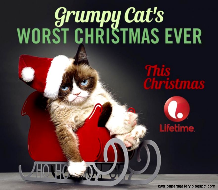 Grumpy Cat Merry Christmas | Wallpapers Gallery
