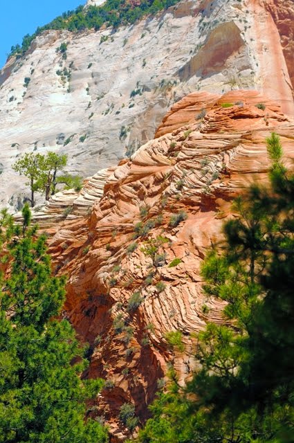Zion N.P. Formation 001