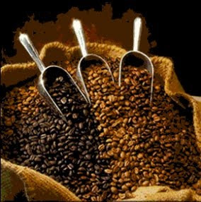 Coffee Beans