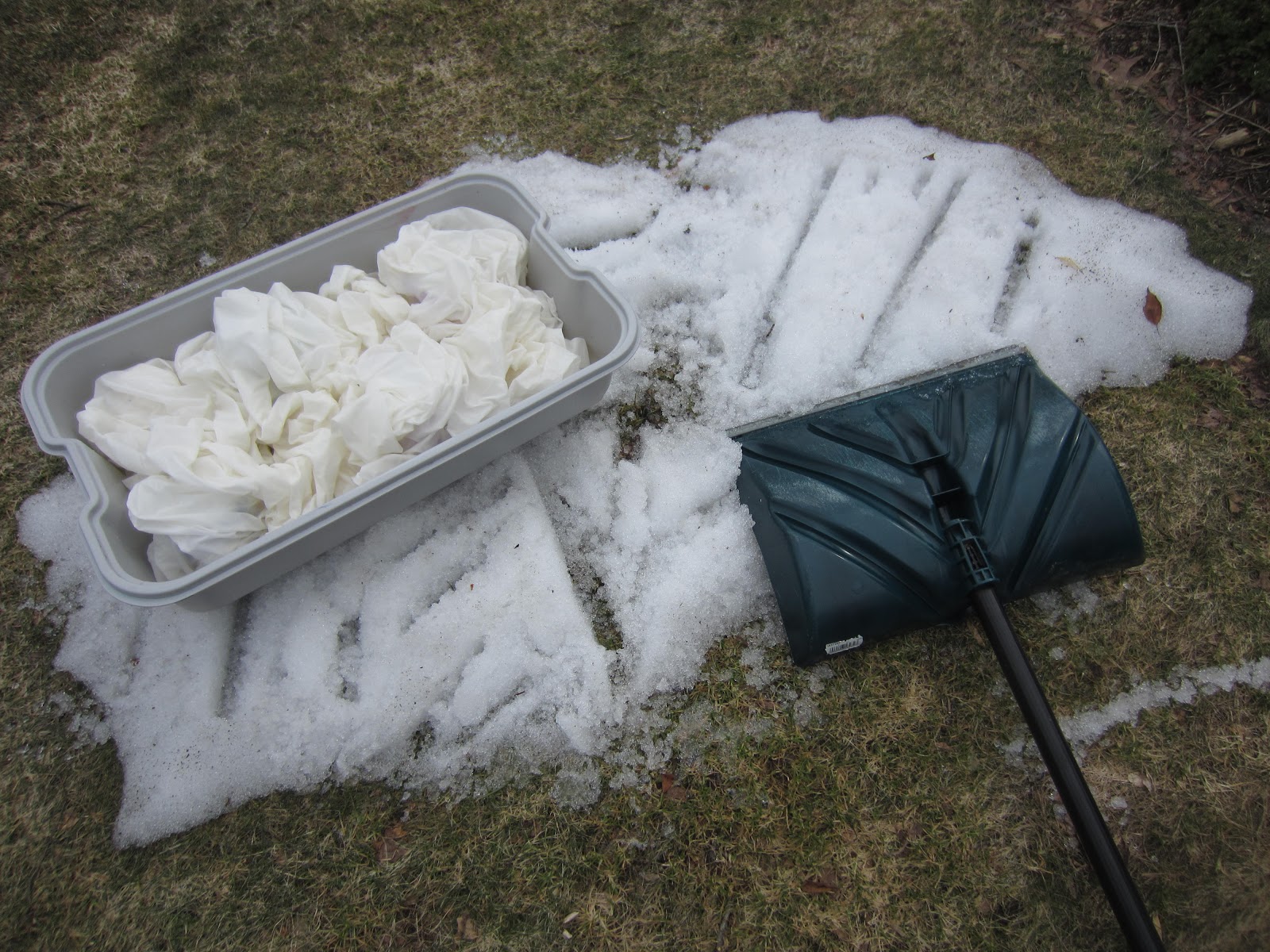 Carol R. Eaton Designs Final Snow Dyed Project of the Season!