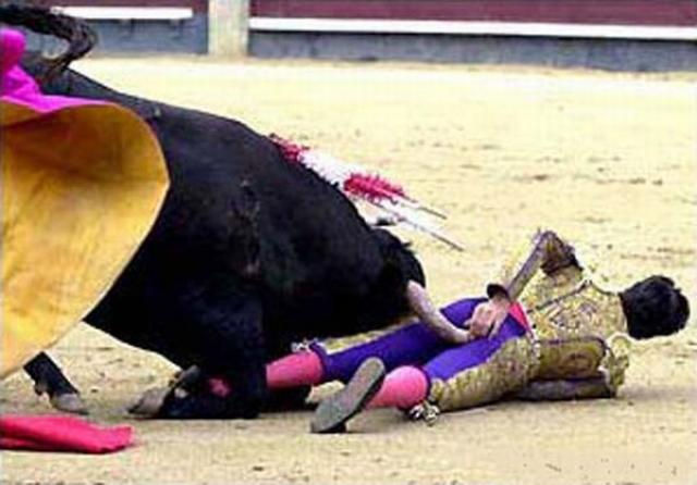 This is my favorite bull fighting picture