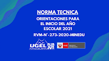 ORIENTACIONES INICIO AÑO ESCOLAR 2021 / RVM-273-2020