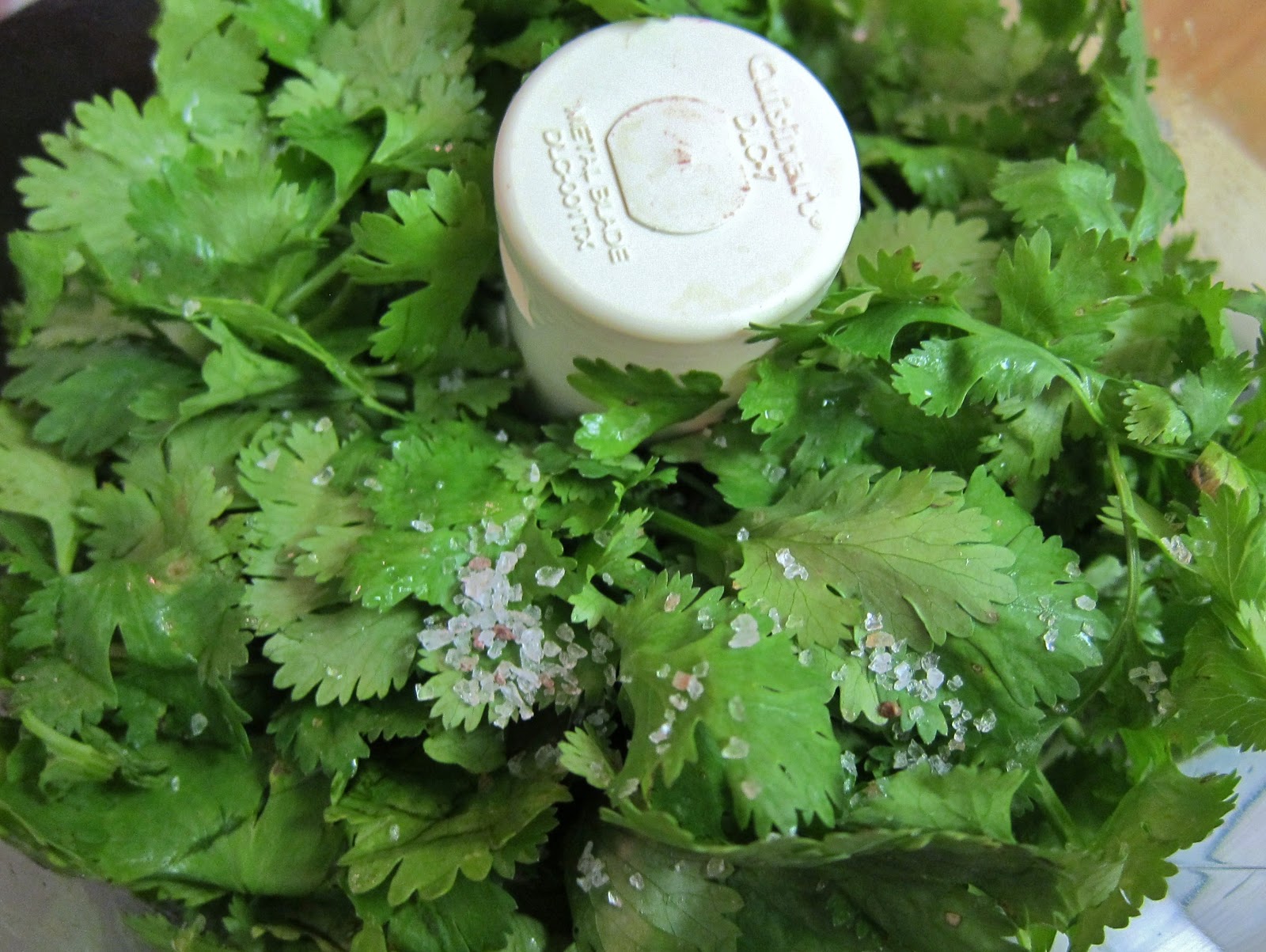 The Vegan Chronicle Cilantro Rice with Chicken