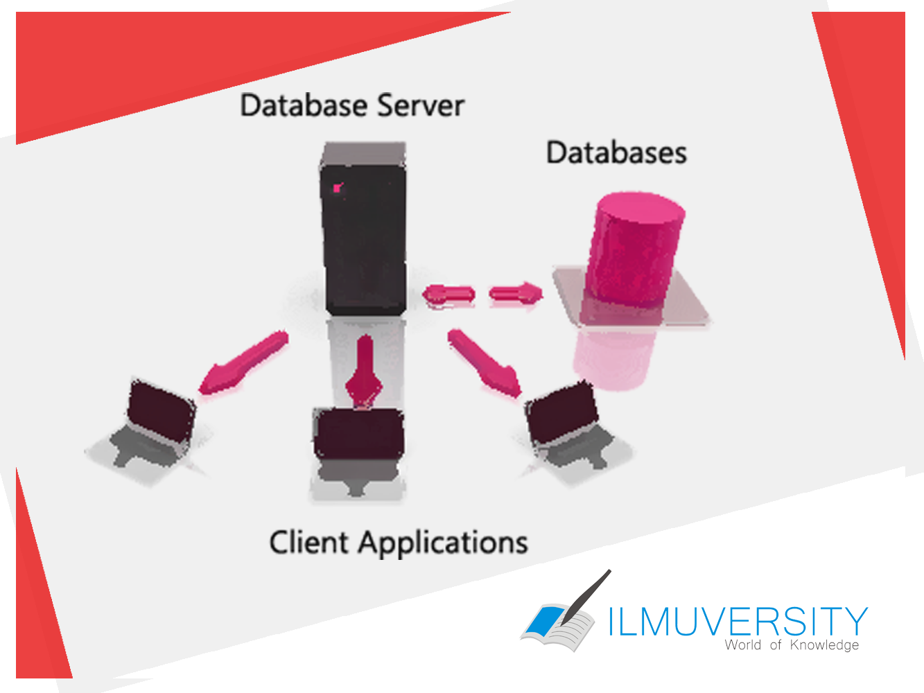 Apa itu Database Server? ILMUVERSITY