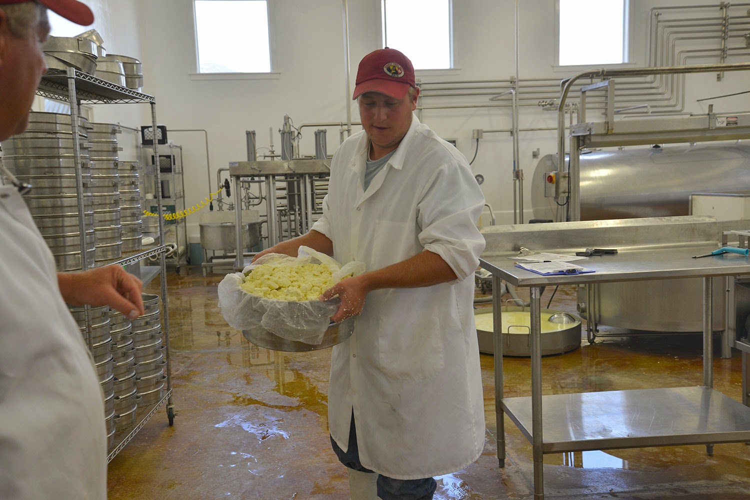 A school of fish Heber Valley Artisan Cheese Field Trip
