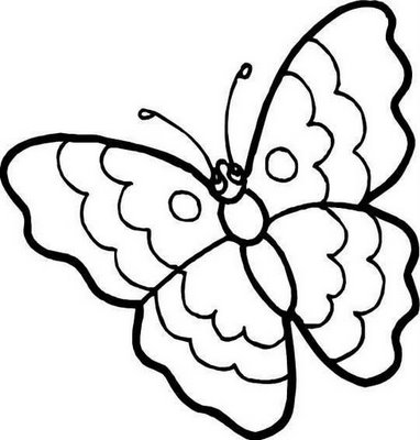 desenho para pintar com tinta guache - Pesquisa Google  Caracol desenho,  Molde de borboletas, Coisas para desenhar