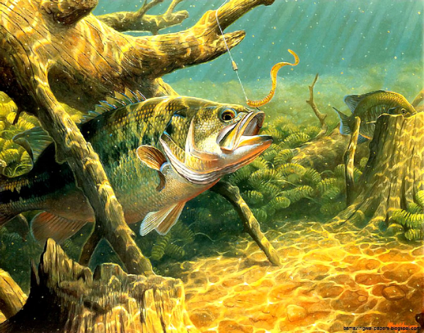 Largemouth Bass Wallpapers Wallpaper Cave Largemouth Bass Wallpapers Wallpaper Cave