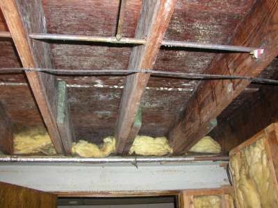 How to Kill White Mold on Wood | White Mold In Basement ...