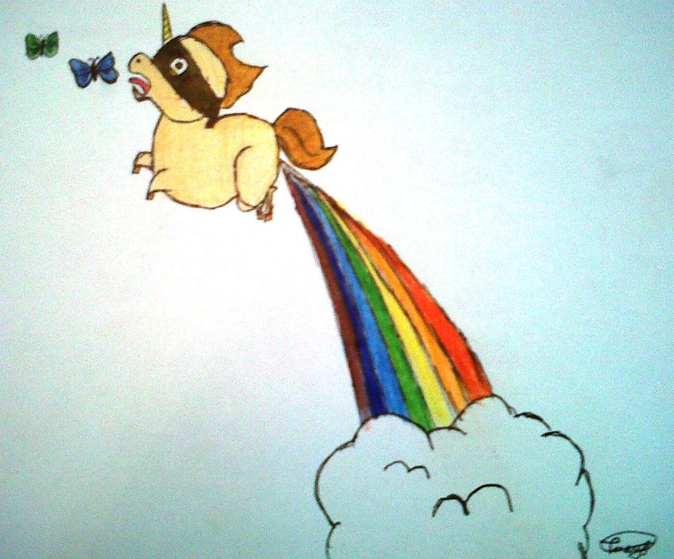 rainbow ninja unicorn