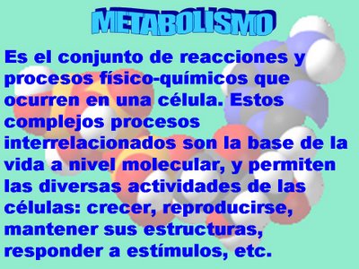 Metabolismo celular anabolico y catabolico